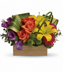 Teleflora's Shades Of Brilliance Bouquet from Flowers by Ramon of Lawton, OK